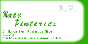 mate pinterics business card